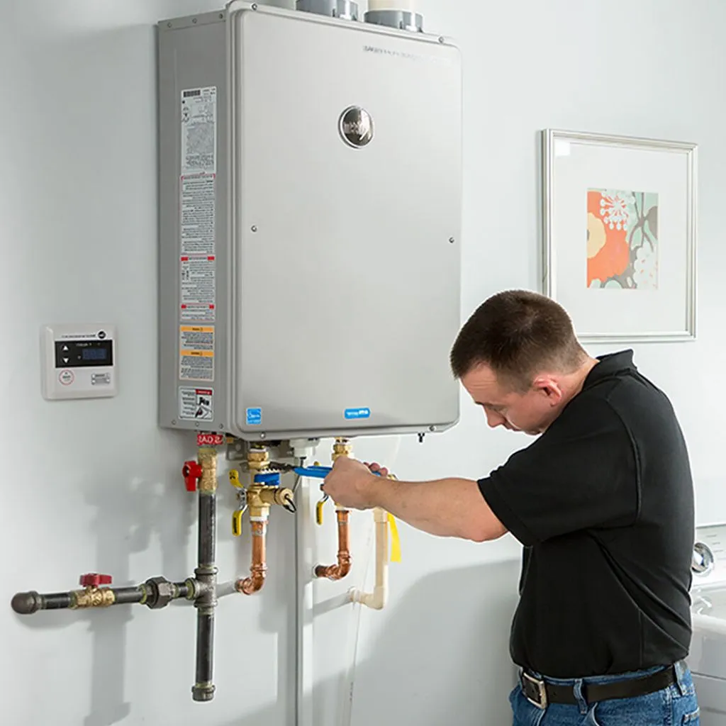 tankless water heater repair in Pulaski, IA